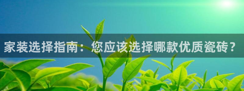 江苏和记数码科技有限公司：家装选择指南：您应该选择哪款优质瓷砖？