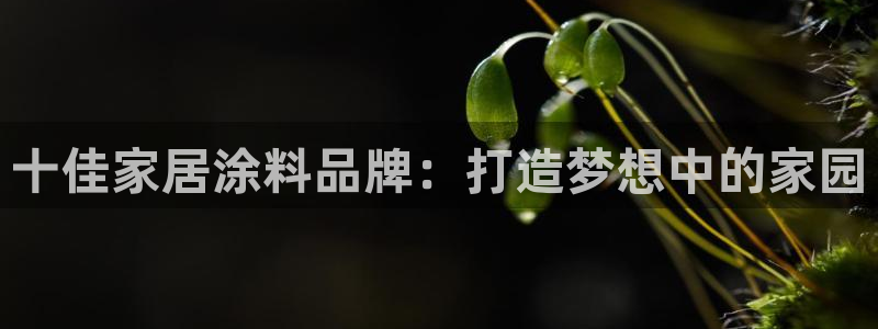 和记国际开户：十佳家居涂料品牌：打造梦想中的家园