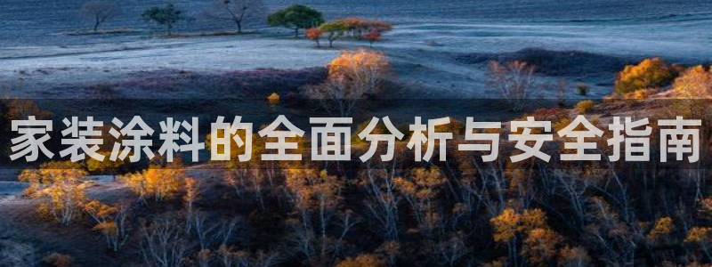 和记paging：家装涂料的全面分析与安全指南