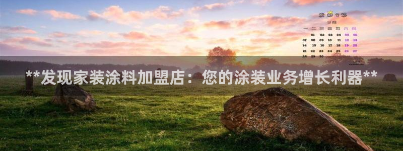 和记港口：**发现家装涂料加盟店：您的涂装业务增长利器**