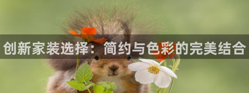 上海和记餐饮有限公司：创新家装选择：简约与色彩的完美结合