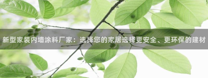 和记港口：新型家装内墙涂料厂家：选择您的家居选择更安全、更环保的建材