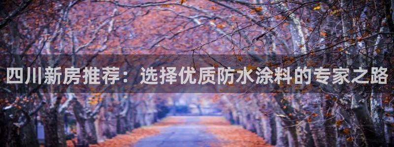 和记官方直营：四川新房推荐：选择优质防水涂料的专家之路