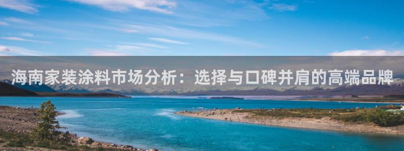 和记官网首页：海南家装涂料市场分析：选择与口碑并肩的高端品牌