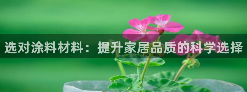 和记ag网页版：选对涂料材料：提升家居品质的科学选择